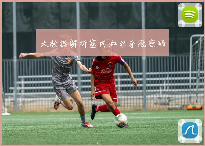 大数据解析塞内加尔夺冠密码