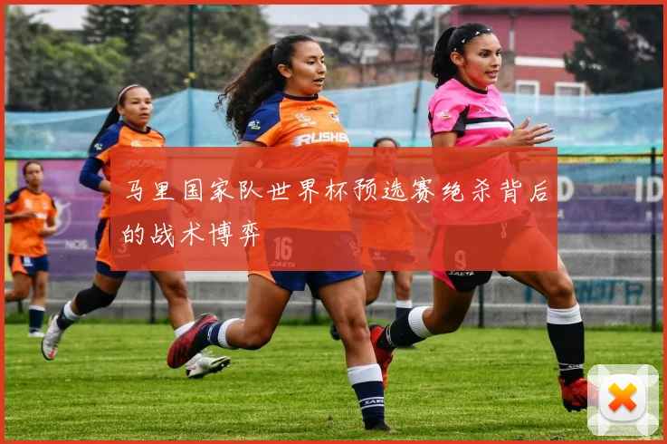 马里国家队世界杯预选赛绝杀背后的战术博弈
