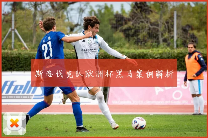 斯洛伐克队欧洲杯黑马案例解析