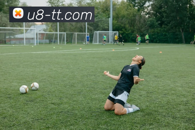 App Interface Preview